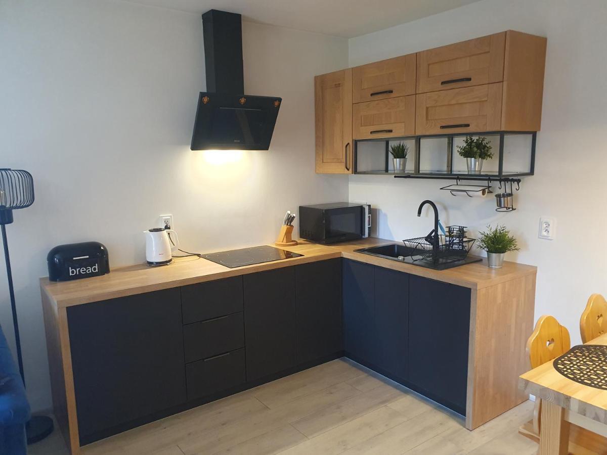 Apartament Sobiczkowa Zakopane Кошелско Екстериор снимка