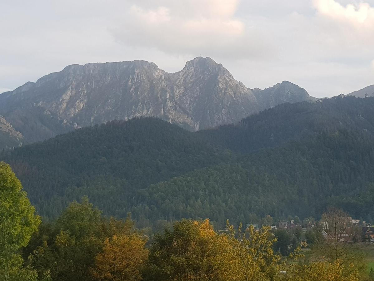 Apartament Sobiczkowa Zakopane Кошелско Екстериор снимка